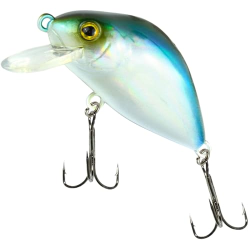 FTM Wobbler Kamakura 60mm 12,8gr. Bleak 8900144 Zander Barsch Crankbait Veit Wilde FTM Wobbler Kamakura 60mm 12,8gr. Bleak 8900144 Zander Barsch Crankbait Veit Wilde von Seika Pro
