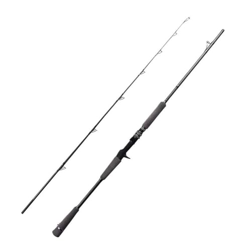 Angelrute Angelrute Jigging Lure 80-250g 20-50Lb Casting Rod Salzwasser Ultraleicht Carbon Tune Angelrute Angel von FZL02068LM