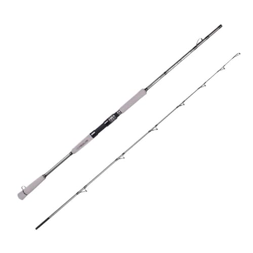 Angelrute Jigging Angelrute mit Carbon M Spitze Köder 80-250g Linie 20-50LB Salzwasser Thunfisch Angelrute Angel von FZL02068LM