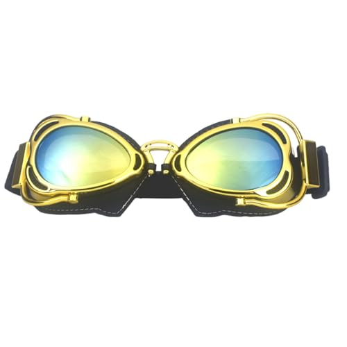 FackLOxc Motorradbrille Fahrradbrille Kratzfest Staubdicht Schutzbrille Für Jugendliche Teenager Erwachsene von FackLOxc