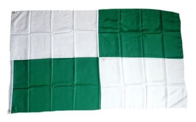 Fahne/Flagge Karo grün/weiß groß NEU 90 x 150 cm von FahnenMax