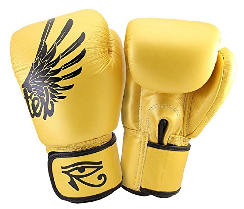 FAIRTEX Muay Thai Kickboxhandschuhe, Falcon Gold, BGV1, Größe 8, 10, 12, 14, 16, 510 g (400 g) von Fairtex