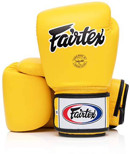 Fairtex BGV1 Muay Thai Boxtraining Sparring Handschuhe für Männer, Frauen, Kinder | MMA Handschuhe für Kampfsportarten | Hochwertige, leichte & stoßdämpfende Boxhandschuhe Fairtex BGV1 Muay Thai Boxtraining Sparring Handschuhe für Männer, Frauen, Kinder | MMA Handschuhe für Kampfsportarten | Hochwertige, leichte & stoßdämpfende Boxhandschuhe von Fairtex
