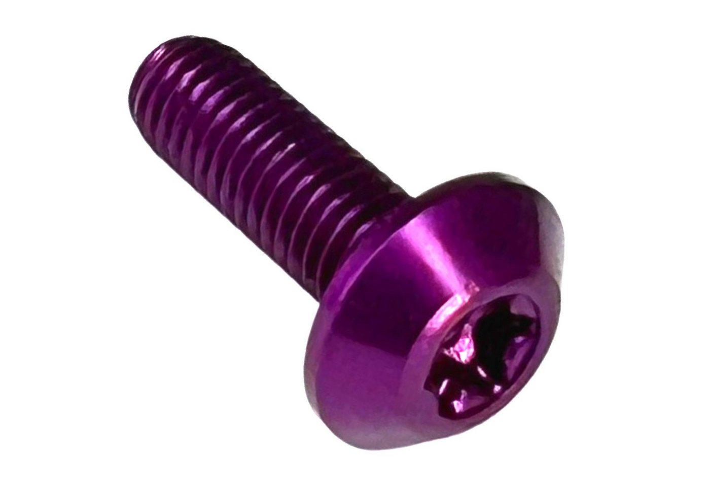 Fantic26 Fahrrad-Flaschenhalter Alu Torx T25 M5x15 Linsenkopfschrauben 7075 verschiedene Farben Fantic26 Fahrrad-Flaschenhalter Alu Torx T25 M5x15 Linsenkopfschrauben 7075 verschiedene Farben von Fantic26