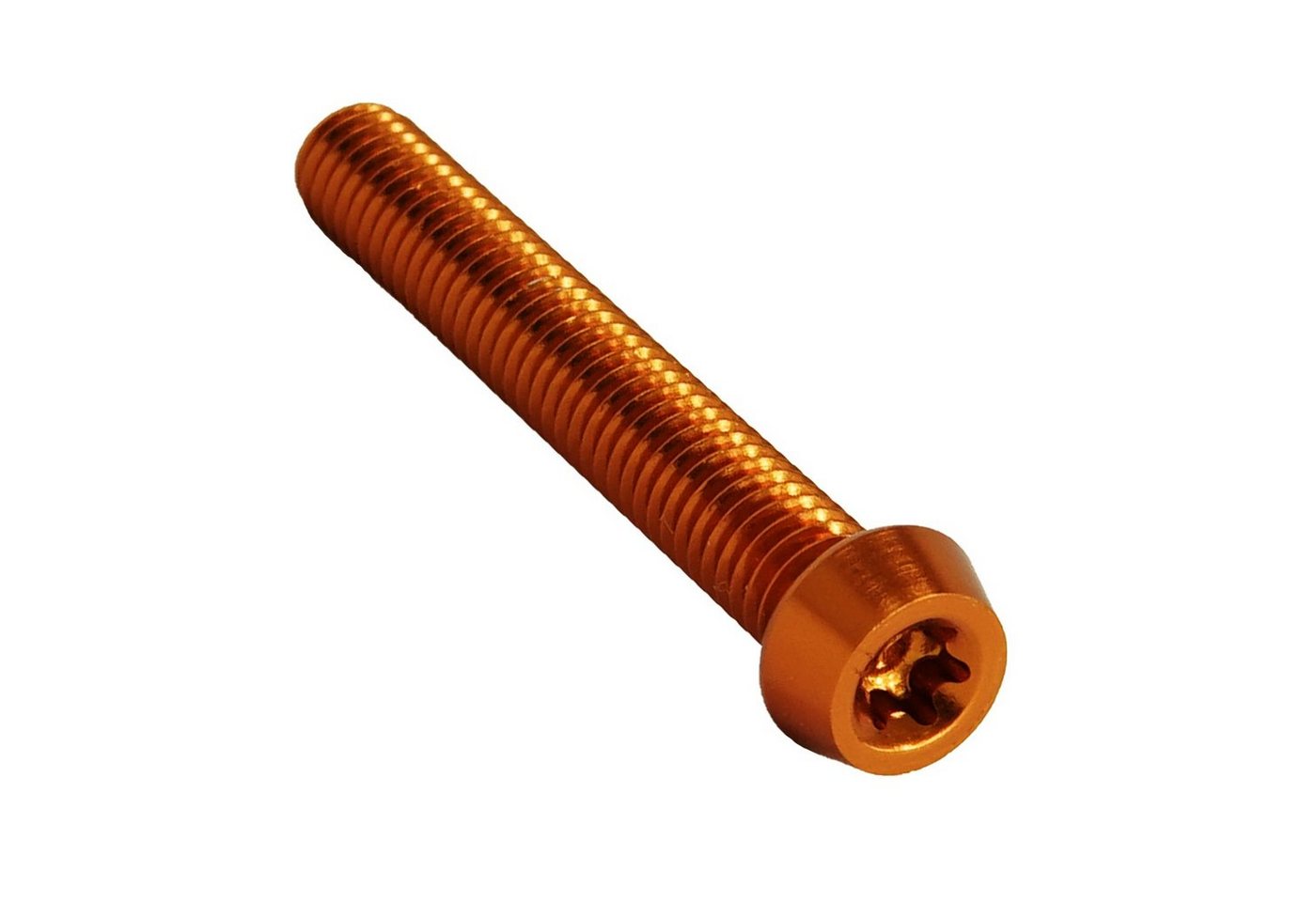 Fantic26 Schrauben-Set Alu M5 Torx T25 Schraube 7075 Din 912 bolt x5,10,12,16,18,20,25 Fantic26 Schrauben-Set Alu M5 Torx T25 Schraube 7075 Din 912 bolt x5,10,12,16,18,20,25 von Fantic26