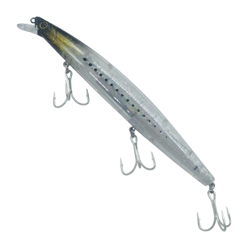 Fcnjsao Schwimmende Harte Köder 32 G Wobbler Forellen Zander Köder 16 cm Swimbait Minnow Angelköder Zum Salzwasserfischen von Fcnjsao