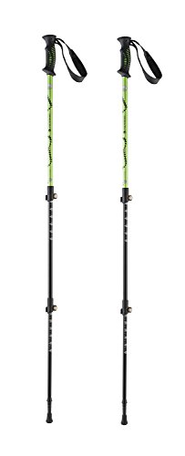 Ferrino Totem Stab Trekking, Grün, L Ferrino Totem Stab Trekking, Grün, L von Ferrino
