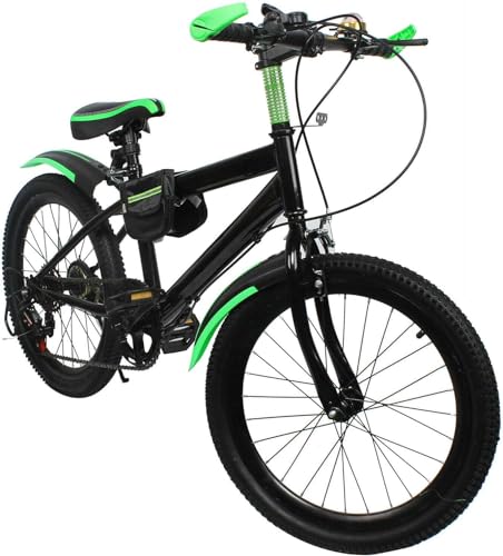 Fetcoi 20 Zoll Kinderfahrrad Mountainbike für Mädchen und Jungen, Doppelscheibenbremse System, aus Kohlenstoffstahl (Grün) von Fetcoi