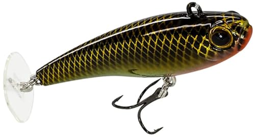 Fiiish Power Tail Slow - 6.4cm - 8g - Gold Rush UV - PWT1055 Fiiish Power Tail Slow - 6.4cm - 8g - Gold Rush UV - PWT1055 von Fiiish