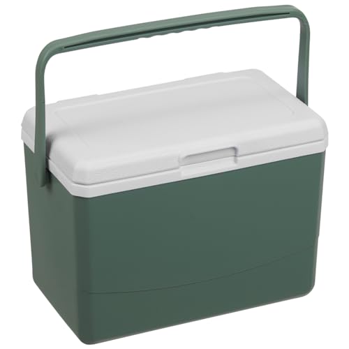 Fiorky Isolierte Kühl-Lunchbox, 3 l, isolierte tragbare Kühlbox mit Griff, Camping-Auto-Kühlschrank, Wärmespeicherung, Aufbewahrung, Kühlbox, ideal für Camping, Strand, Picknick,Lebensmittel von Fiorky