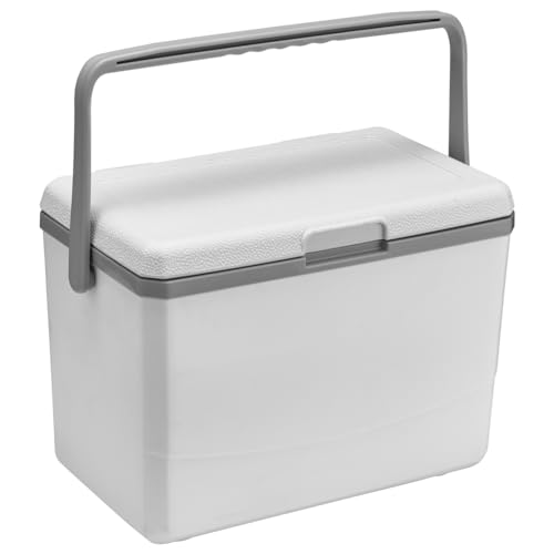Fiorky Isolierte Kühl-Lunchbox, 3 l, isolierte tragbare Kühlbox mit Griff, Camping-Auto-Kühlschrank, Wärmespeicherung, Aufbewahrung, Kühlbox, ideal für Camping, Strand, Picknick,Lebensmittel von Fiorky