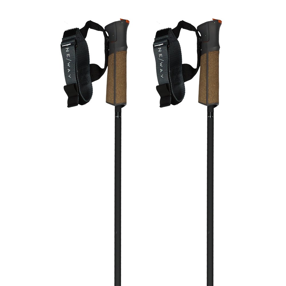 Fischer Gt 11 Carbon Mag Poles Braun 120 cm Fischer Gt 11 Carbon Mag Poles Braun 120 cm von Fischer