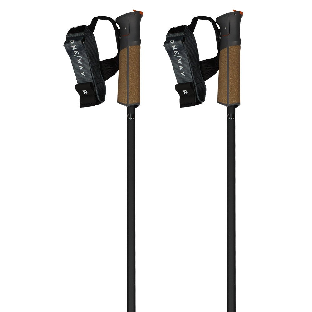 Fischer Gt 13 Carbon Mag Poles Braun 125 cm Fischer Gt 13 Carbon Mag Poles Braun 125 cm von Fischer