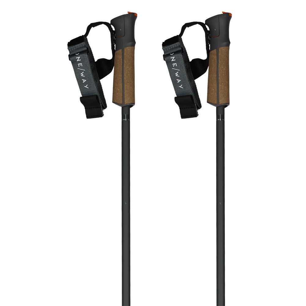 Fischer Gt 13 Comp Mag Poles Braun 115 cm Fischer Gt 13 Comp Mag Poles Braun 115 cm von Fischer