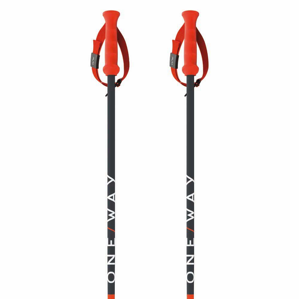 Fischer Rd Sl Junior Poles Orange 95 cm Fischer Rd Sl Junior Poles Orange 95 cm von Fischer