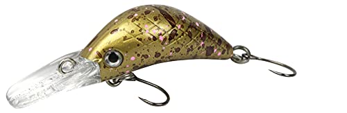 FTM Masu Security Wobbler 3cm 1, 6g - Forellenwobbler zum Spinnfischen auf Forellen, Forellenköder, Crankbait zum Forellenangeln, Farbe:goldfarben dunkel gepunktet UV FTM Masu Security Wobbler 3cm 1, 6g - Forellenwobbler zum Spinnfischen auf Forellen, Forellenköder, Crankbait zum Forellenangeln, Farbe:goldfarben dunkel gepunktet UV von FTM