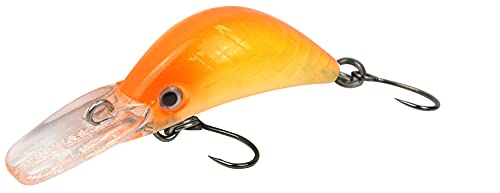 FTM Unisex – Erwachsene 10C5200413C10 Masu Security Wobbler 3cm 1,6g-Forellenwobbler zum Spinnfischen auf Forellen, Forellenköder, Crankbait zum Forellenangeln, Farbe:orange-gelb UV, Bunt, Normal FTM Unisex – Erwachsene 10C5200413C10 Masu Security Wobbler 3cm 1,6g-Forellenwobbler zum Spinnfischen auf Forellen, Forellenköder, Crankbait zum Forellenangeln, Farbe:orange-gelb UV, Bunt, Normal von FTM