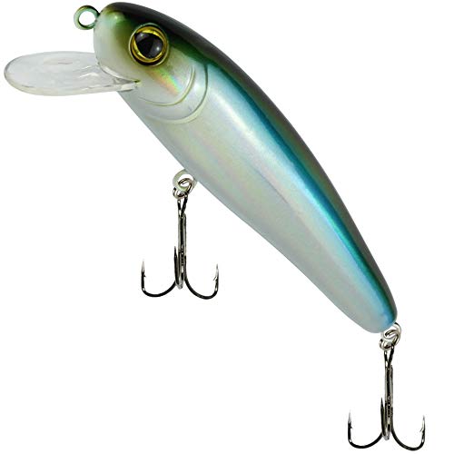 Fishing Tackle Max Unisex – Erwachsene 10C8900154C10 SEIKA Pr-Akita-Wobbler Farbe: Bleak Länge: 11,0cm Programm von FTM, Bunt, Normal Fishing Tackle Max Unisex – Erwachsene 10C8900154C10 SEIKA Pr-Akita-Wobbler Farbe: Bleak Länge: 11,0cm Programm von FTM, Bunt, Normal von Fishing Tackle Max