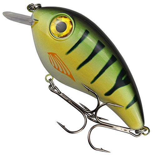 Fishing Tackle Max Unisex – Erwachsene 10C8900172C10 FTM PIKEBOMB-Wobbler Farbe: Perch 10cm/44g aus dem SEIKA Pr-Programm, Bunt, Normal von Fishing Tackle Max