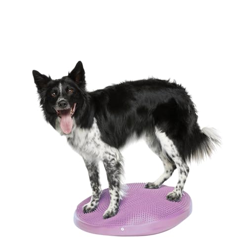 FitPAWS Balance Disc - Razzleberry - 56 cm FitPAWS Balance Disc - Razzleberry - 56 cm von FitPAWS