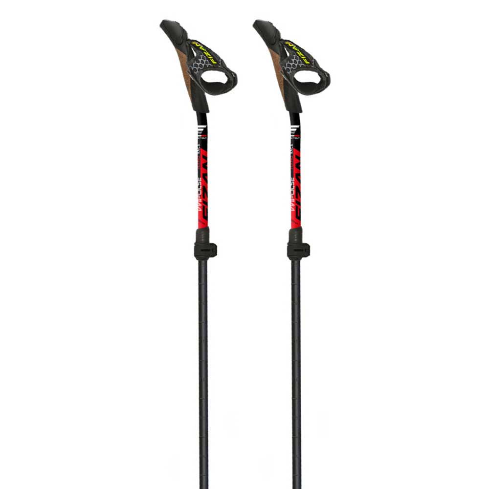 Fizan Tekno Race Impulse Poles Silber 107-120 cm Fizan Tekno Race Impulse Poles Silber 107-120 cm von Fizan