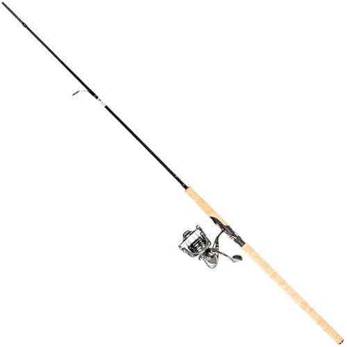 FLADEN Combo Maxximus Seatrout 200-260cm Meerforellen-Kombo Rolle Rute Schnur (260) von Fladen