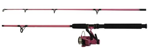 Fladen Angeln Power 30 Festival Combo 2,1m, Farbe: Pink Fladen Angeln Power 30 Festival Combo 2,1m, Farbe: Pink von Fladen