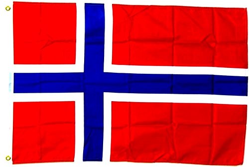 Fahne Flagge Norwegen 30 x45 cm von Flaggenfritze