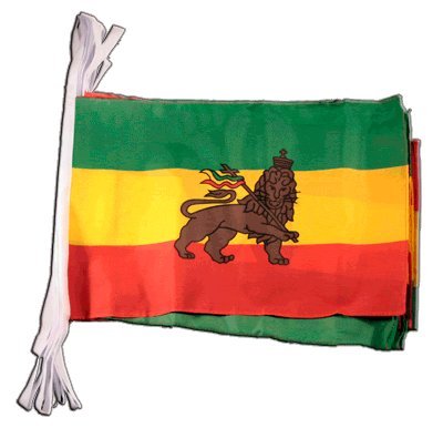 Fahnenkette Flaggen Äthiopien alt 30x45cm, Länge 9 m von Flaggenfritze