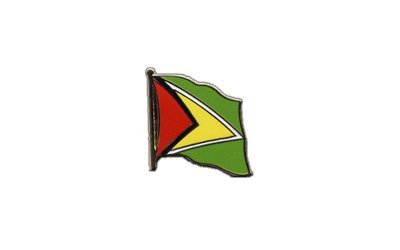Flaggen-Pin/Anstecker Guyana vergoldet Flaggen-Pin/Anstecker Guyana vergoldet von Digni