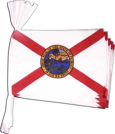 Flaggenfritze® Fahnenkette USA Florida, Länge 5,9 m von Flaggenfritze