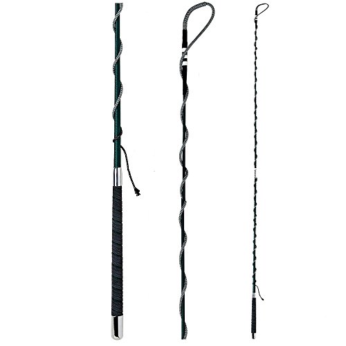 Fleck - Longierpeitsche - teilbar Fleck - Longierpeitsche - teilbar von Fleck