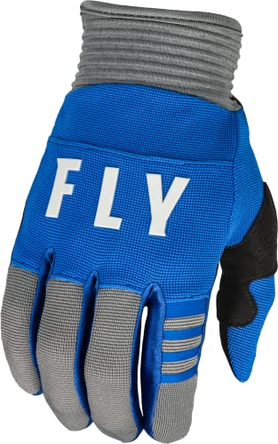 Fly Racing 2023 Erwachsene F-16 Handschuhe (Blau/Grau, X-Large) von Fly Racing