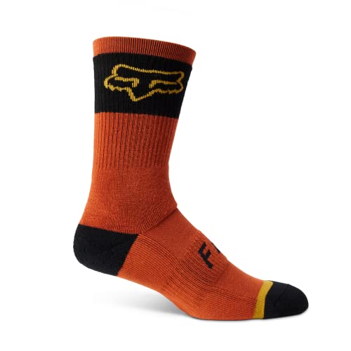 Fox Racing - Socken Defend Winter 8",Braun,S/M Fox Racing - Socken Defend Winter 8",Braun,S/M von Fox Racing
