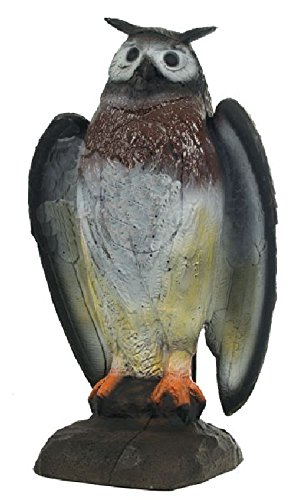 Franzbogen - Drohender Uhu; Ziel BZW. Zielscheibe für den Bogensport, Bogenschießen, Pfeil und Bogen, Armbrust Sport, aus hochwertigem langlebigen Material in 3D Franzbogen - Drohender Uhu; Ziel BZW. Zielscheibe für den Bogensport, Bogenschießen, Pfeil und Bogen, Armbrust Sport, aus hochwertigem langlebigen Material in 3D von Franzbogen