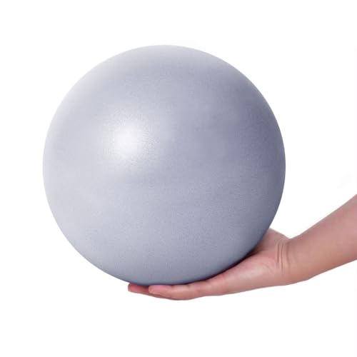 Fresion Soft Pilates Ball Gymnastikball Klein - 25cm Pilatesball, Gymnastikbälle Kinder, Softball,Pezziball,Fitnessball Kinder PVC Yogaball, Gym Ball Exercise Aufblasbarer Ball für Fitness von Fresion