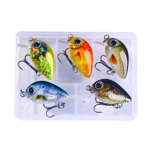 Frotox 5Pcs Kunststoff Angeln Köder Kleine Crankbait Wobbler Künstliche Harte Köder Kurbel Köder Mit Tackle Box Angeln Zubehör von Frotox