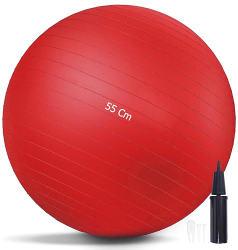 G5 HT SPORT Fitness Gym Balls Premium Multifunktionaler Pilatesball Anti-Burst [55/65/75/75 cm] Inklusive Pumpe, Pilates, Übungen, Gymnastik und Yoga (Ø 55 cm (für maximale Höhe 167 cm)) von G5 HT SPORT