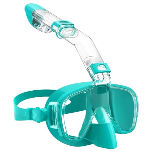 Schnorchelset für Erwachsene, Schnorchelmaske mit Dry Top System, 180-Grad-Panorama-Schnorchelmaske, professionelle Schnorchelausrüstung für Erwachsene H,S von GAOJYLF