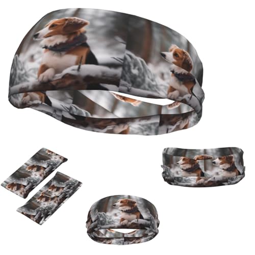 Winter-Schnee-Hunde-Stirnbänder, Sportschweißbänder für Männer und Frauen, Haarband, feuchtigkeitsableitend, elastische Schweißbänder von GFLFMXZW