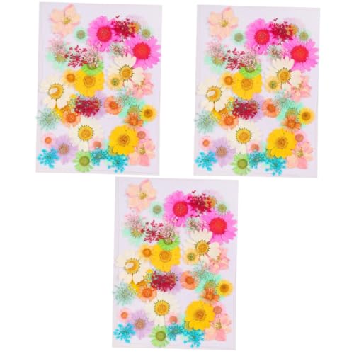 GHMYU Artificial Plants 126 Stcs trockene Prägepflanzen Dekor Sammelalbum gepresstes Blütenmaterial Blumen Epoxidharz Flowers von GHMYU