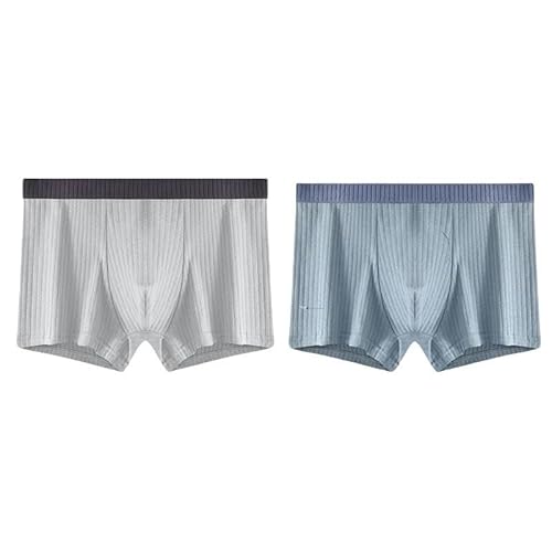 GHUUUJKI Unterhosen M?Nner 2 Pcs/Los Männer Zu Unterdügen Baumwollboxer Brief Shorts Shorts Charakter Stripe Slips Männer Unterwäsche Plus Size L-4Xl-N-L （37-50 Kg） von GHUUUJKI