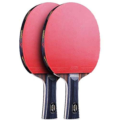 GIAOT tischtennisschläger Set tischtennisschläger Profi Outdoor-Tischtennis-Set für 2 Spieler enthält 2 Outdoor-Schläger und 10 Outdoor-Bälle(Color:B) von GIAOT