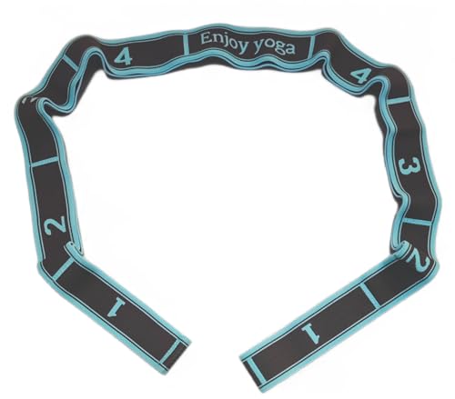 GIMIRO Fitness-Gummiband Segmentiertes Widerstandsband für Yoga Pilates Tanz Stretchband Rehabilitations Spannband (Blue - 9 Loops) von GIMIRO