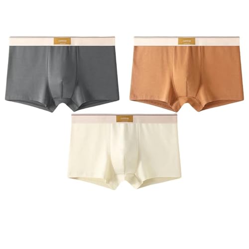 GLYLFQZJ Boxershorts Herren 3Pcs Modelisten Briefs Shorts Cotton Atmable Underpants Für Männer Vollfarbene Männer Zu Unterhosen-Dgray Brown Bybable-4Xl 80-90 Kg von GLYLFQZJ