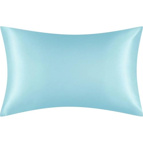 GLYLFQZJ Kissenbezug Aus Seide Satin -Kissenbezug Seidig Weicher Kissenbezug Für Haare Und Hautstandard Größe 30X20 Zoll-Blau-2Pcs von GLYLFQZJ