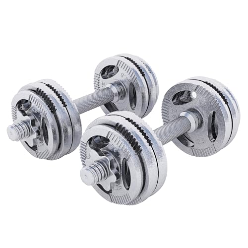 GORILLA SPORTS® Kurzhanteln - 30kg, 2er Set, 4x1,25kg, 8x2,5kg Gewichte, Gusseisen Hantelscheiben, 30mm, mit 4 Sternverschlüssen, Griff gerändelt, Rutschfest, Schwarz/Silber - Hantelset, Kurzhantelset von GORILLA SPORTS