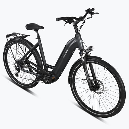 GRUNDIG GCB-1 E-Bike 28 Zoll Elektrofahrrad für Damen und Herren, E-Bike Trekking mit 250W/80N.m BAFANG Mittelmotor und Drehmomentsensor, Shimano 9 Gänge, 36V/15Ah LG Akku bis zu 120KM von GRUNDIG