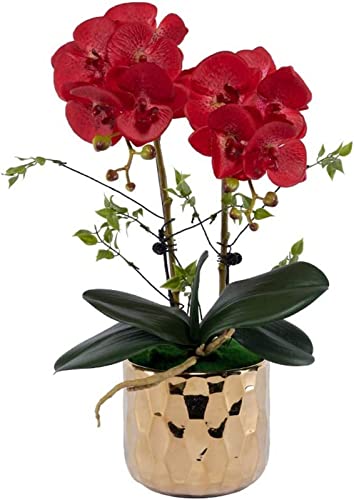 GSZCCZS Künstliche Blume, künstlicher Bonsai mit Vase, künstliche Blumen mit Vase, Orchidee, künstliche Pflanzen in Vase, Phalaenopsis für Wohnzimmerarrangements, Dekor, Kunstblumen, Desktop-Dekor, von GSZCCZS