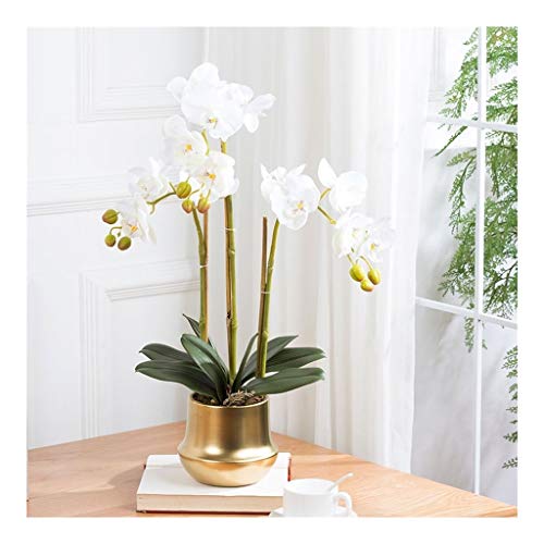 GSZCCZS Künstliche Blume im Topf, Phalaenopsis, künstliche Blume mit Glasvase, dekoratives Seidenblumenarrangement, Simulation von Bonsai, künstliche Blumenpflanzung, Blumenset für den Heimgebrauch, von GSZCCZS